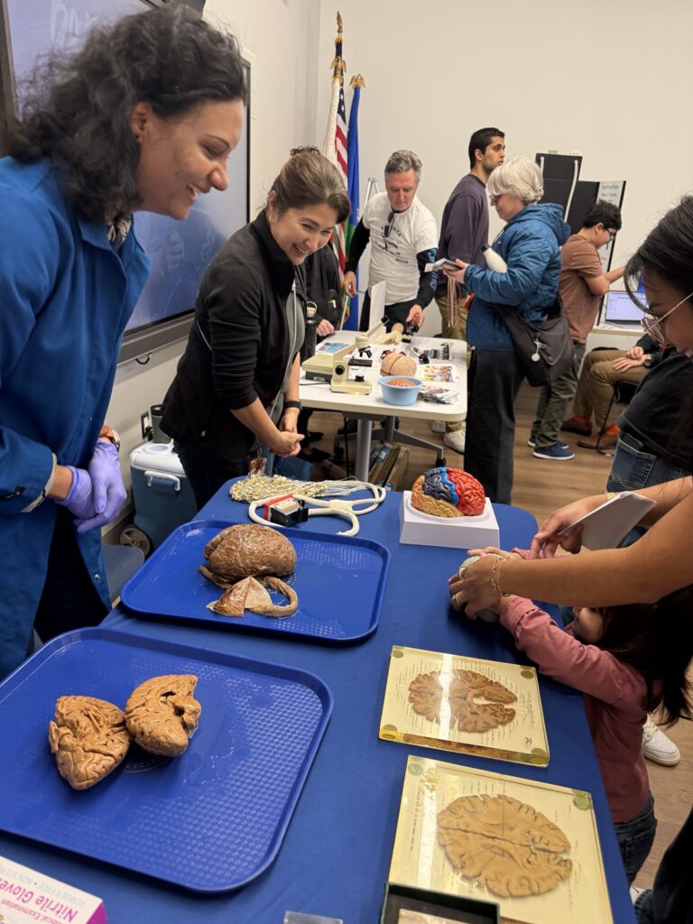 Community Science Day at the Paramount Library
